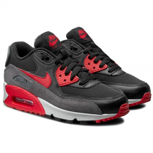 Giày Nike Air Max 90 Essential 'Black Infrared' 537384-416 - Ảnh 2