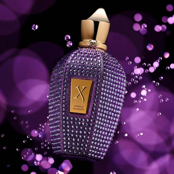 Nước Hoa Xerjoff Purple Accento EDP - Ảnh 3