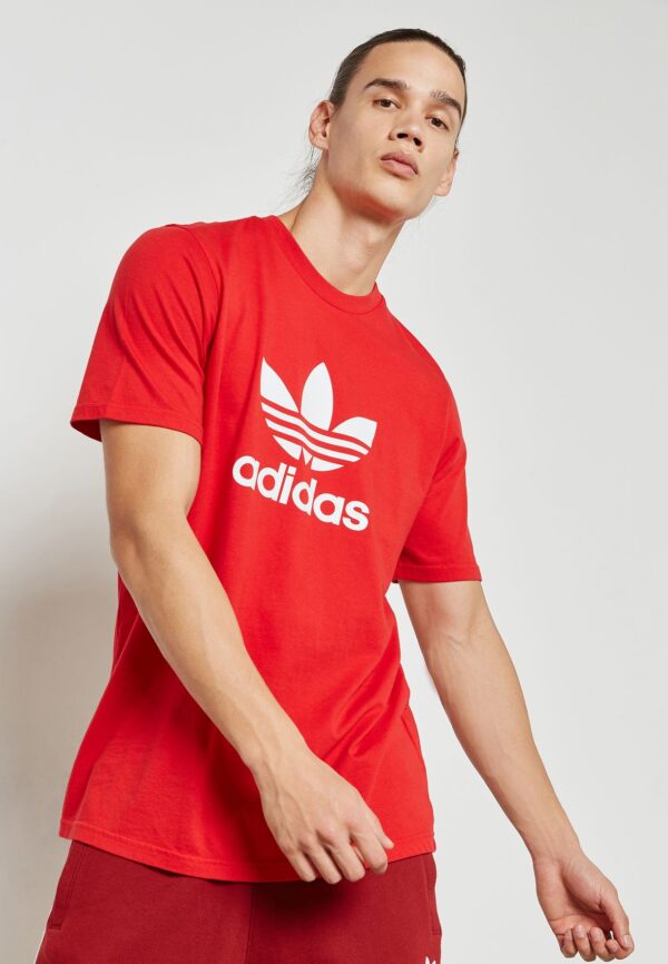 Áo Adidas Originals Adicolor CX1895 - Ảnh 4