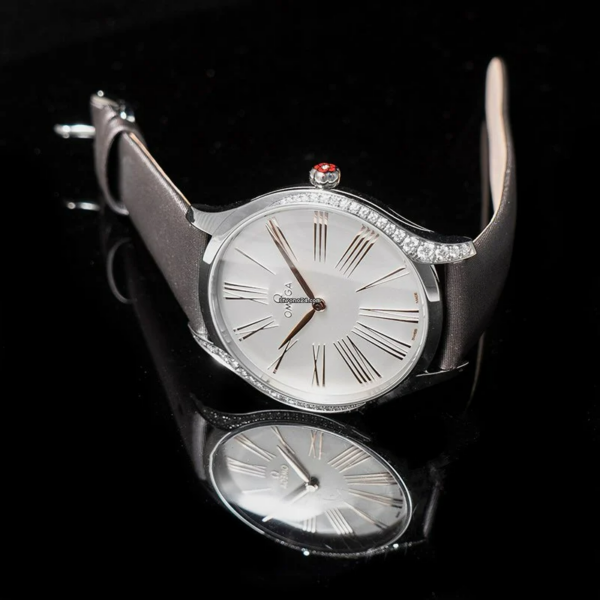 Đồng Hồ Omega De Ville Tresor 'Silver' 428-17-39-60-02-001 - Ảnh 5