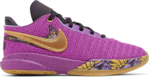 Giay Nike LeBron 20 GS 'Young Heirs' FD0207-500