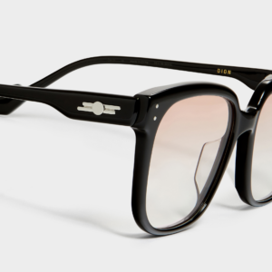 Kinh Gentle Monster Dion 01 RG