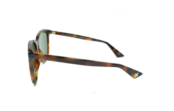 Kính Gucci Havana Brown GG0024S-002 - Ảnh 3