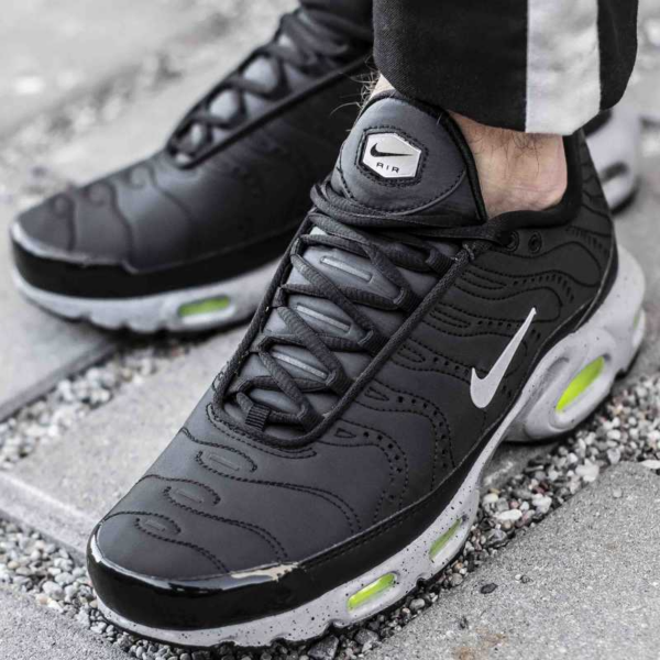 Giày Nike Air Max Plus Premium 'Matte Silver' 815994-003 - Ảnh 2