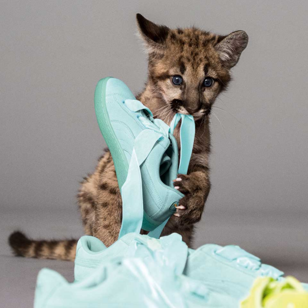 Giày Puma Suede Heart Reset Wmns 'Aruba Blue' 363229-01 - Ảnh 2