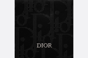 Vi Dior Zipped Card Holder 'Black Dior' 2ESBC250VPD-H03E