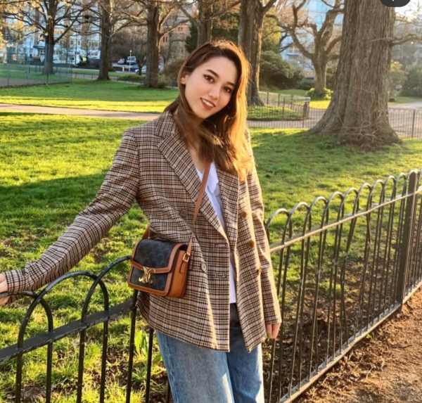 Túi Celine Triomphe Bag In Triomphe Canvas And Calfskin Tan 188882BZ4-04LU - Ảnh 6