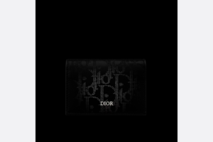 Vi Dior Business Card Holder 'Black Oblique' 2ESCH136VPD-H03E