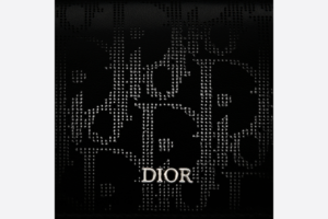 Vi Dior Business Card Holder 'Black Oblique' 2ESCH136VPD-H03E