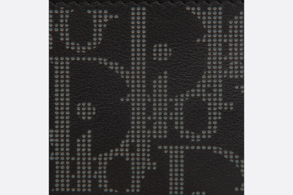 Vi Dior World Tour Card Holder 'Black Dior Oblique' 2ESCH135CLP-H22Q
