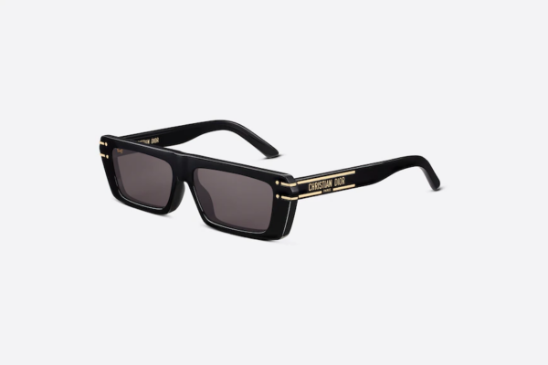 Kính Dior Dior Signature S2U DSGTS2UXR-10A0 - Ảnh 2