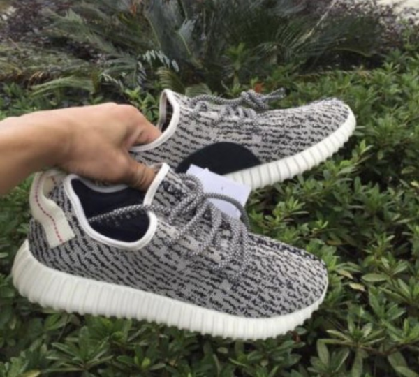 Giày Adidas Yeezy Boost 350 'Turtle Dove' AQ4832 - Ảnh 3