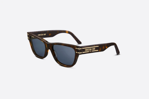 Kính Dior DiorSignature S6U DSGTS6UXR-20B0 - Ảnh 2