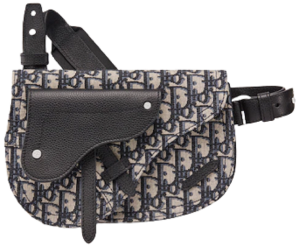 Tui Dior Saddle Pouch Beige and Black 1ADPO095YKY-H28E