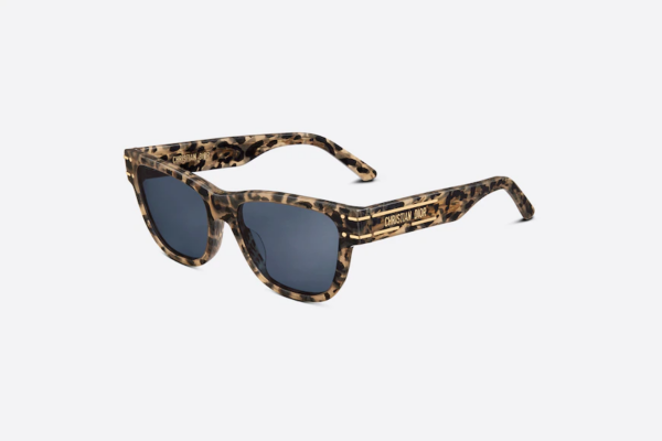 Kính Dior DiorSignature S6U DSGTS6UTR-69B0 - Ảnh 2