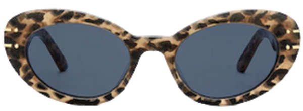 Kinh Dior DiorSignature B3U DSGTB3UTR-69B0