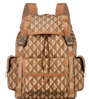 Tui Dior Hit The Road Backpack Brown 1ESBA163CDP-H24E