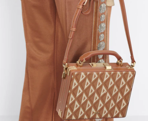 Tui Dior Lock Case Coffee CD Diamond Canvas 1LXBR163CDP-H24E