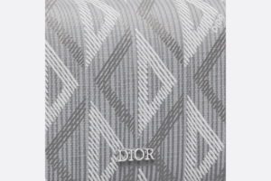 Vi Dior Business Card Holder 'Grey CD Diamond' 2ESCH136DCO-H42E