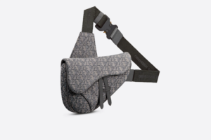 Tui Dior Saddle Bag 'Ruthenium Dior' 1ADPO093DOS-H30Q