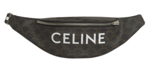 Túi Celine Belt Bag In Triomphe Canvas With Celine Print 195972DDE.38SI