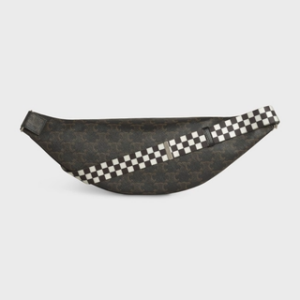 Alternative view of Túi Celine Belt Bag In Triomphe Canvas With Celine Print 195972DDE.38SI