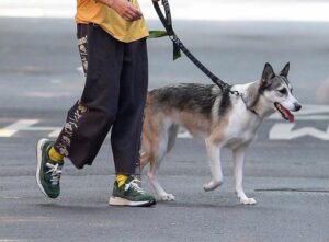 Alternative view of Giày New Balance JJJJound x 992 Made in USA 'Mossy Green' M992JJ