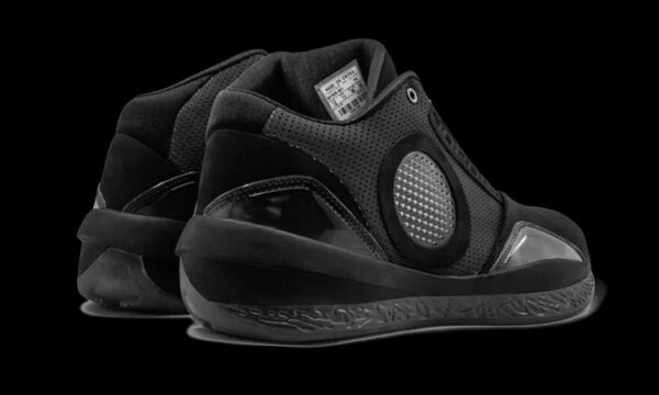 Giày Nike Air Jordan 2010 'Black Charcoal' 387358-001 - Ảnh 3