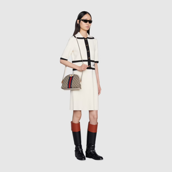 Túi Gucci Ophidia Small Shoulder Beige And White Leather 499621-K05NB-9794 - Ảnh 5