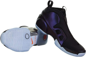 Giay Nike Mens Air Flightposite 2 'Dark Purple' CD7399-500