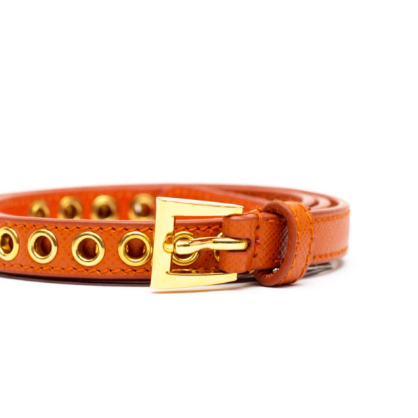 Thắt Lưng Prada Skinny Eyelet Belt Orange 1JC198-2EH8-F0S63 - Ảnh 3