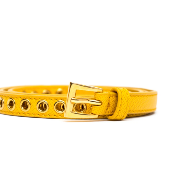 Thắt Lưng Prada Skinny Eyelet Belt Mimosa 1JC198-2EH8-F0506 - Ảnh 3