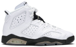 Giày Nike Air Jordan 6 Retro BG 'Alligator' 384665-110
