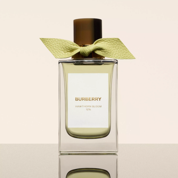 Nước Hoa Burberry Hawthorn Bloom EDP - Ảnh 2