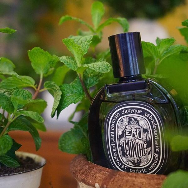 Nước Hoa Diptyque Eau De Minthe EDP - Ảnh 2