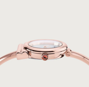 Dong Ho Salvatore Ferragamo 22MM 'Pink' 611193-735348