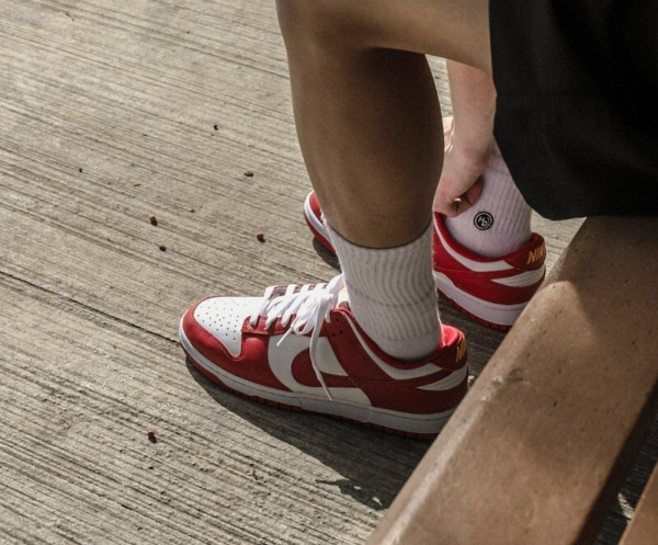 Giày Nike Dunk Low Retro 'Gym Red' DD1391-602 - Ảnh 6