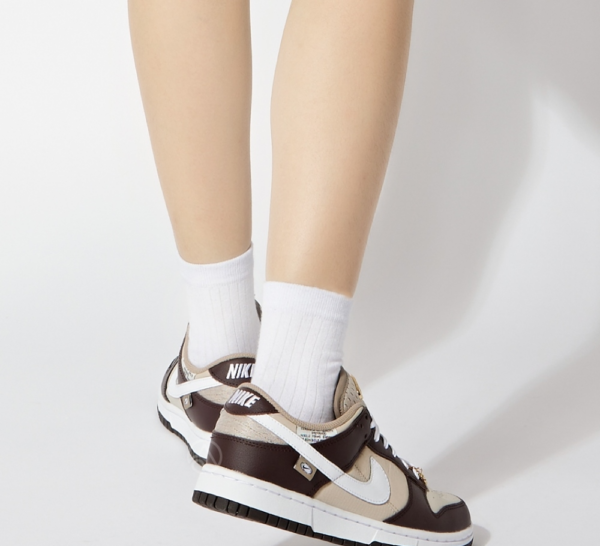 Giày Nike Dunk Low 'Brown Basalt' DX6060-111 - Ảnh 2