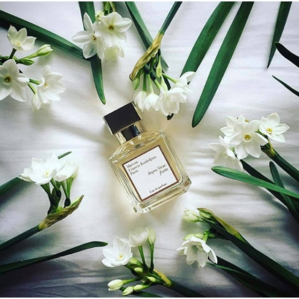 Nước Hoa Maison Francis Kurkdjian Aqua Vitae Forte - Ảnh 4