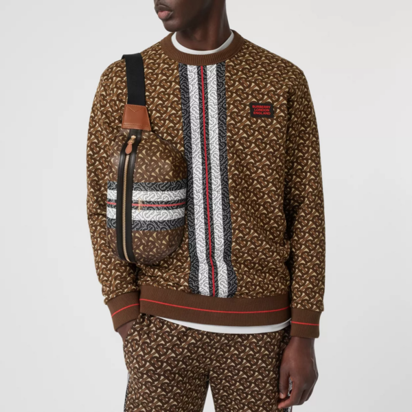 Túi Burberry Monogram Stripe Print Sonny Brown - Ảnh 3