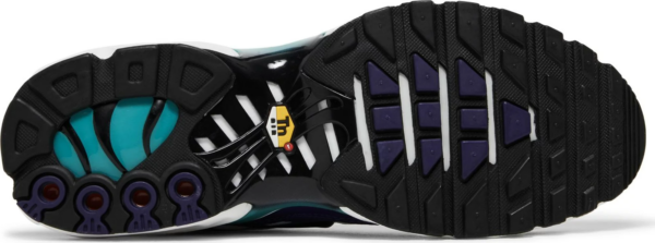 Giay Nike Air Max Plus 'Grape' DM0032-100