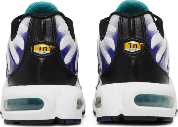 Giay Nike Air Max Plus 'Grape' DM0032-100