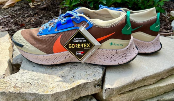 Giày Nike Pegasus Trail 3 Gore-Tex I Love Trail DR0137-200 - Ảnh 4