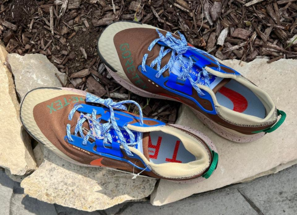 Giày Nike Pegasus Trail 3 Gore-Tex I Love Trail DR0137-200 - Ảnh 5