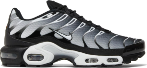 Giay Nike Air Max Plus 'Black Metallic Silver' DM0032-003