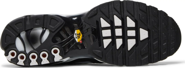 Giay Nike Air Max Plus 'Black Metallic Silver' DM0032-003