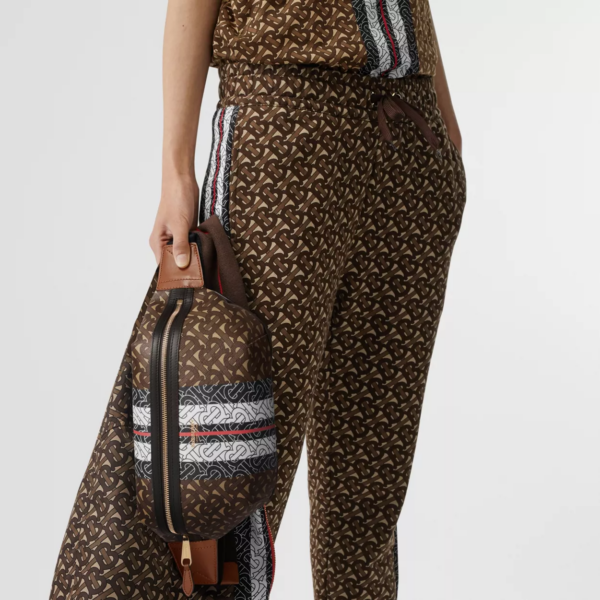 Túi Burberry Monogram Stripe Print Sonny Brown - Ảnh 4