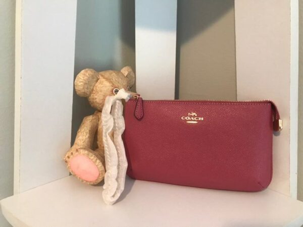 Ví Coach Large Wristlet Rouge Gold 73044 - Ảnh 4