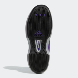 Giay Adidas Crazy 1 'Regal Purple' GY8944