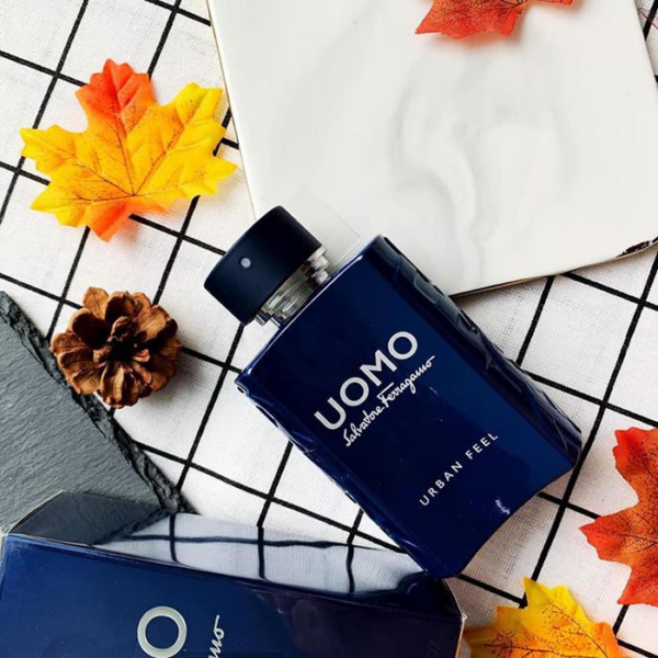 Nước Hoa Salvatore Ferragamo Uomo Urban Feel EDT - Ảnh 5